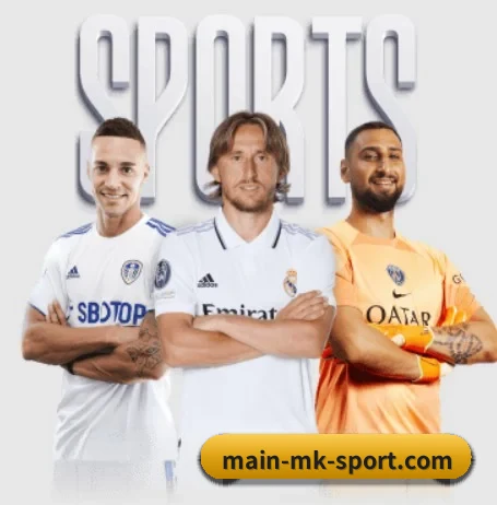 mk体育 APP（mk sports）