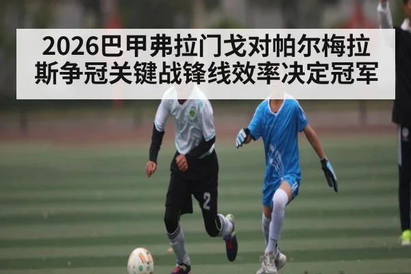 2026巴甲弗拉门戈对帕尔梅拉斯争冠关键战锋线效率决定冠军（mk sports）